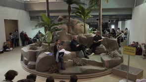 Vignette de la vidéo