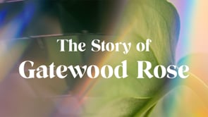 Bringing Life - The Story of Gatewood Rose