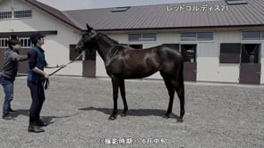 動画サムネイル