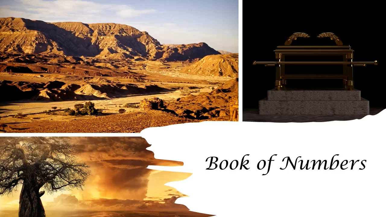 Numbers 17-19; Re-Affirming the Call on Vimeo