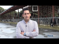 "Una ventaja del robot es el tráfico libre: las vacas deben ir ellas solas a ordeñarse"
