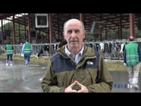 "El tráfico libre permite a las vacas ir con más frecuencia al comedero"