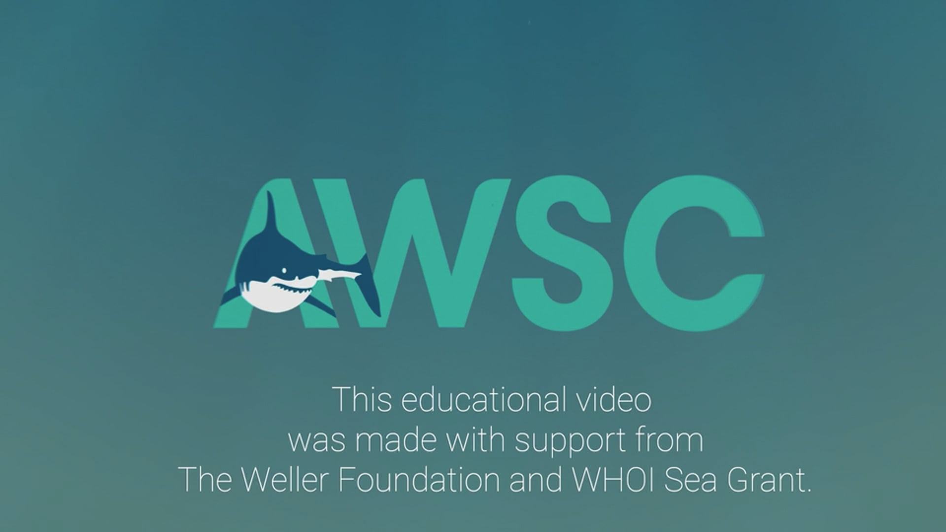2023 AWSC