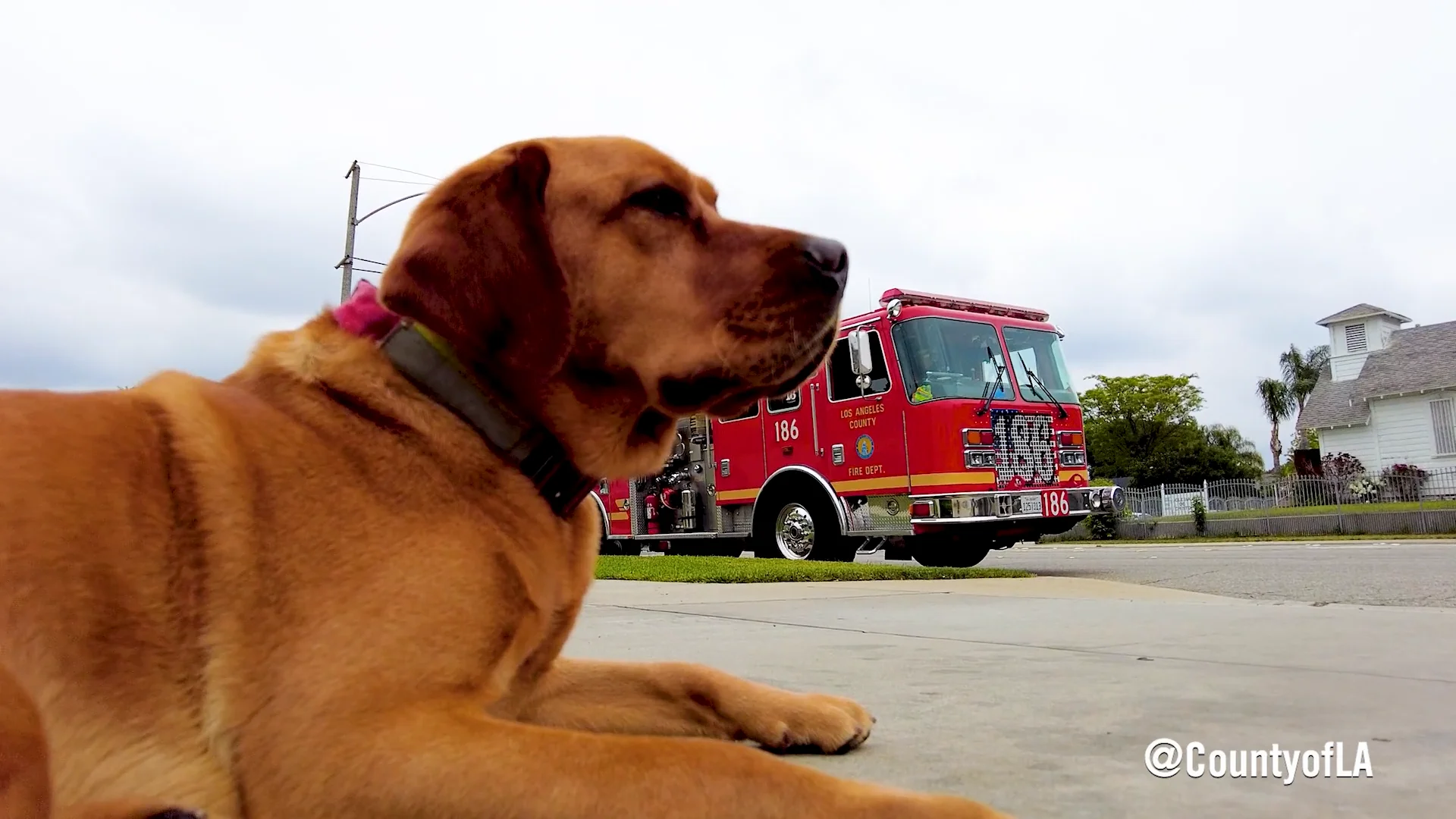 Puffs Fire Department on Vimeo