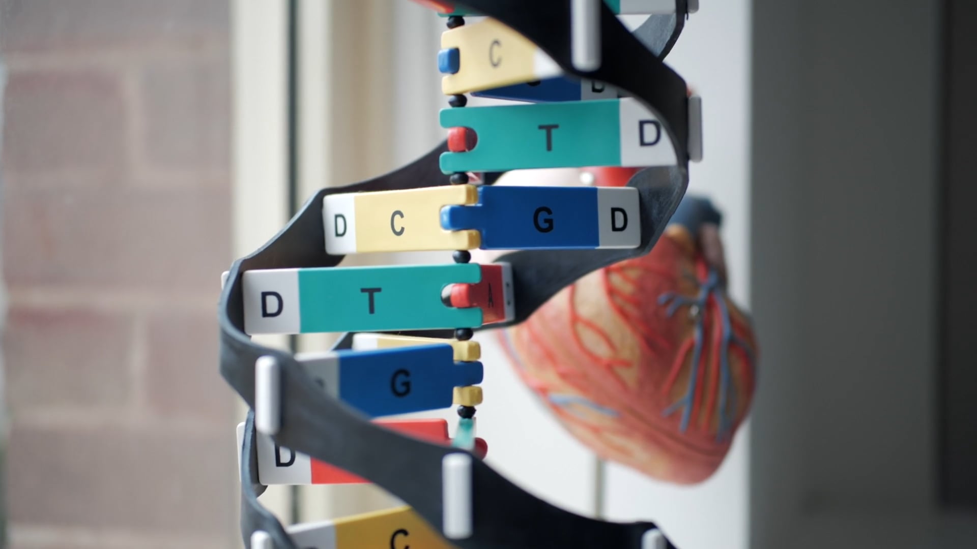Torrens University - Telehealth