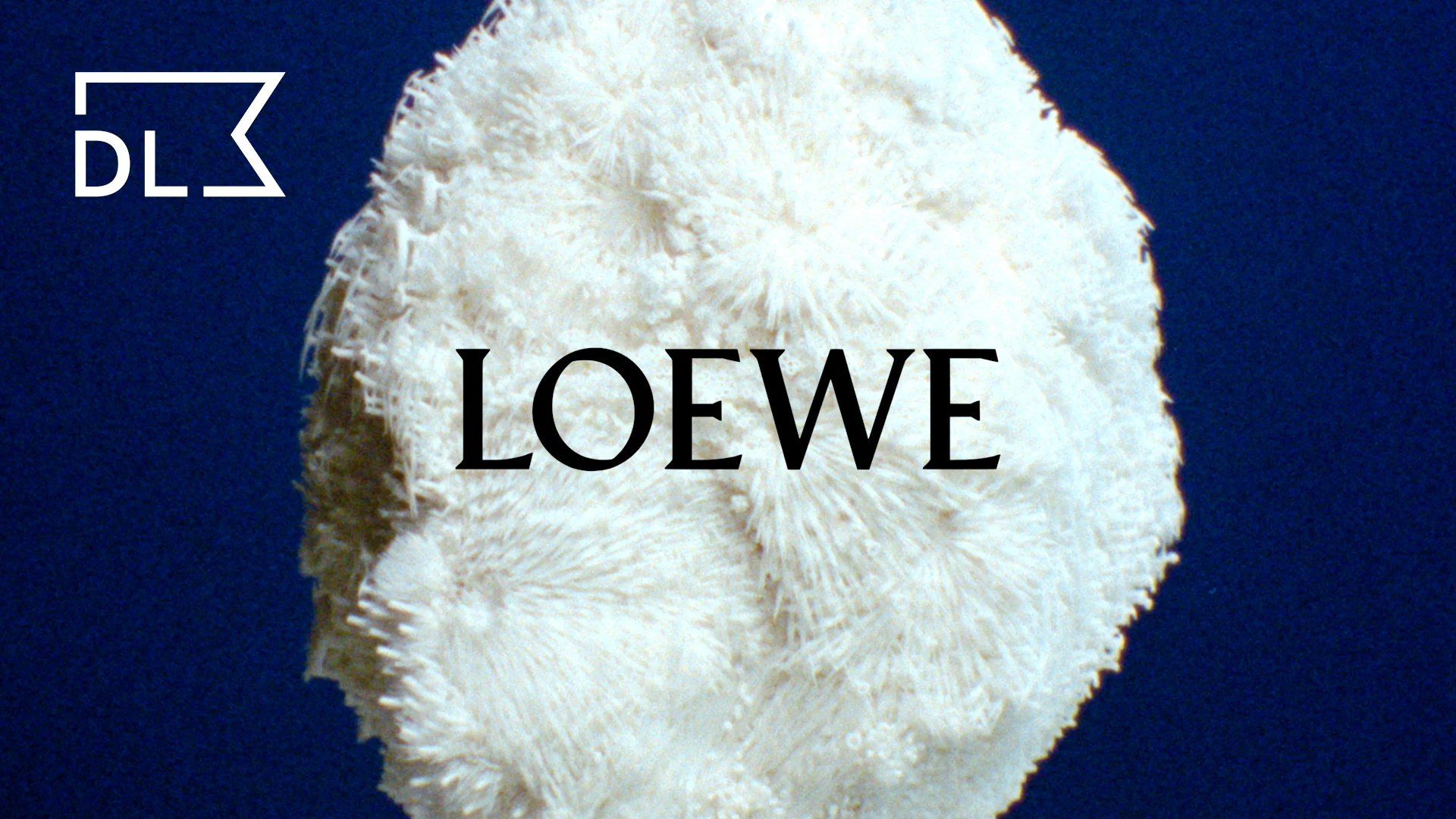 LOEWE GOYA 2021 on Vimeo