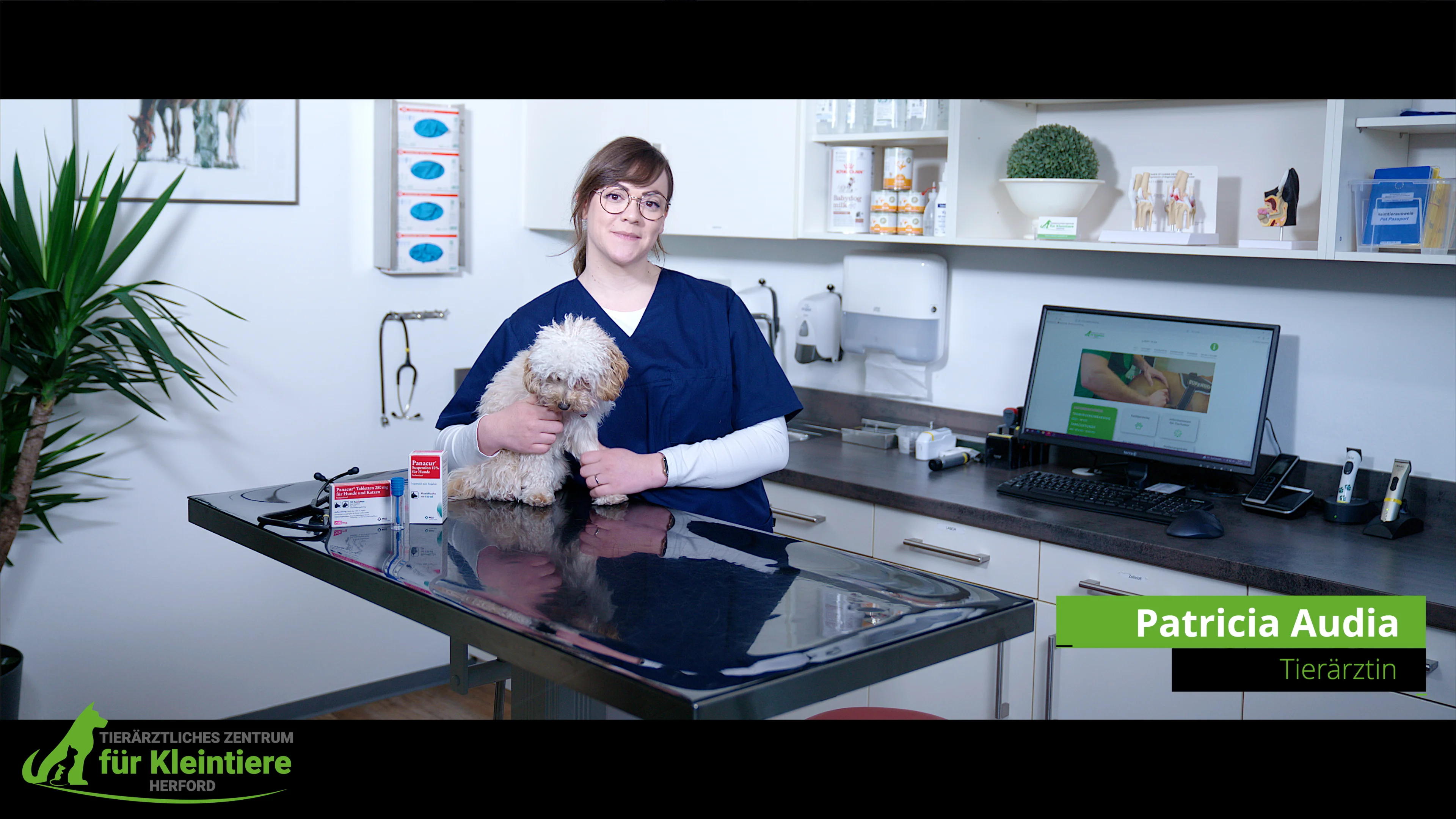 Tutorials - Giardien - Ursachen, Symptome & Behandlung on Vimeo