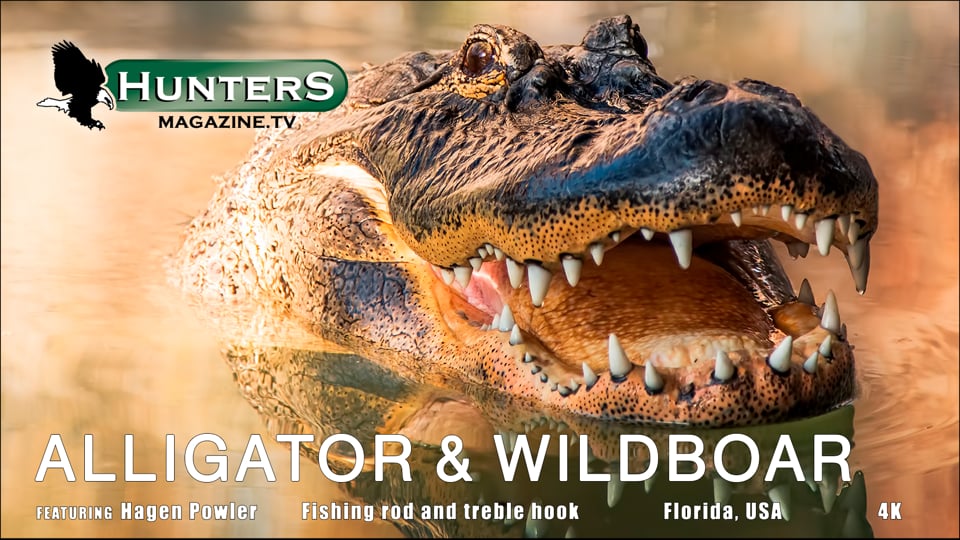 Alligator & wildboar