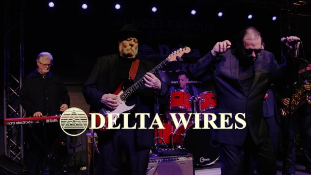 Delta Wires - If Somebody Told Me