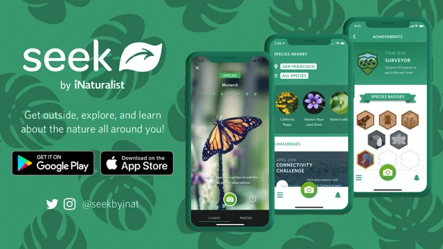 Seek by iNaturalist · iNaturalist