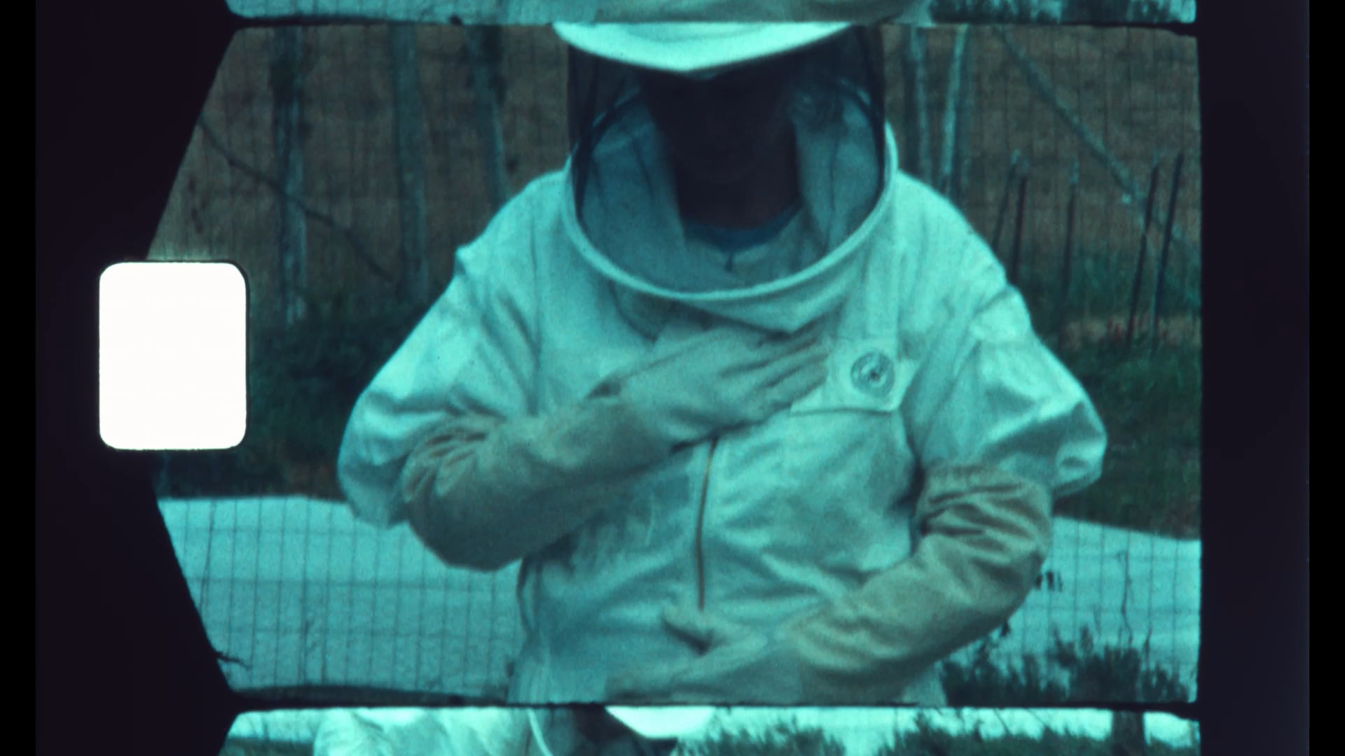 Lacey with the Bees on Vimeo