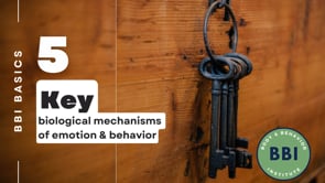 5 Key Biological Mechanisms of Emotion and Behavior