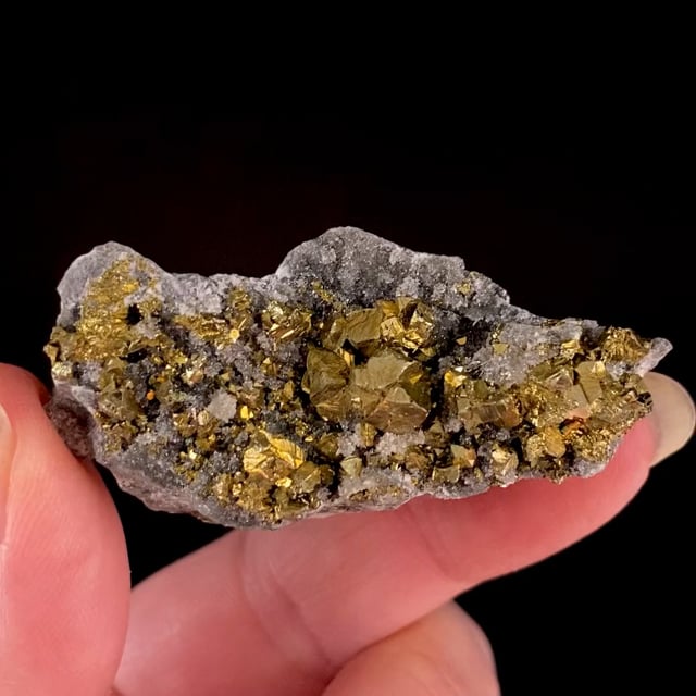 Chalcopyrite (RARE locality specimen)