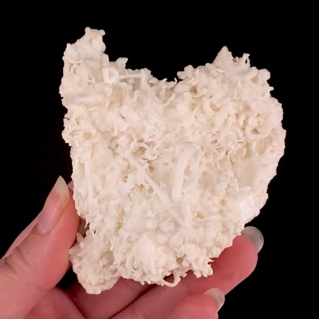 Aragonite var: Flos Ferri