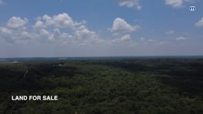 Nearly 1/2 Acre Lots: Hernando County