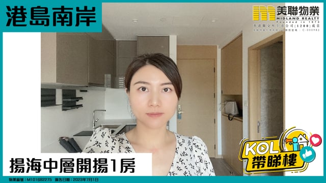 揚海中層開揚1房