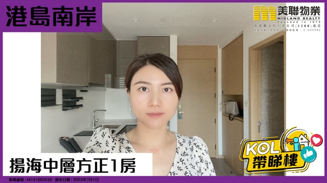 揚海中層方正1房