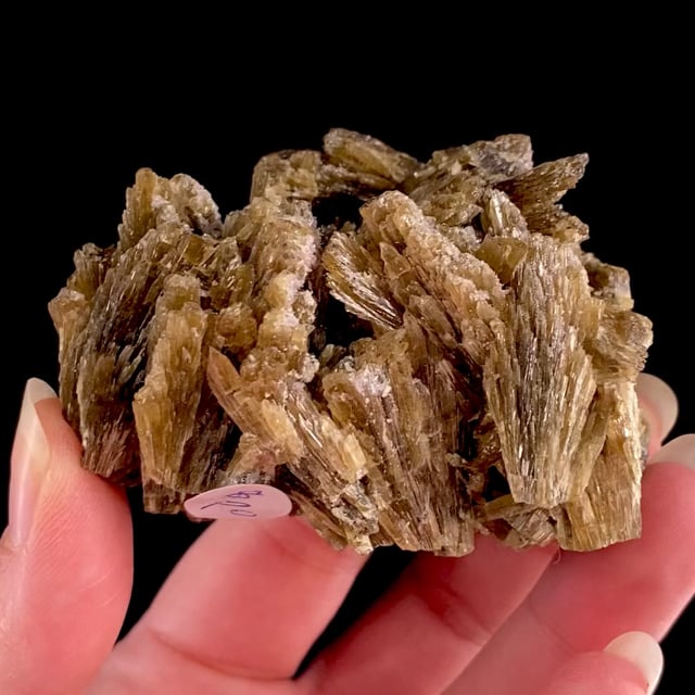 Clinozoisite