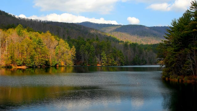 Lake, Helen Georgia, Water. Free Stock Video - Pixabay