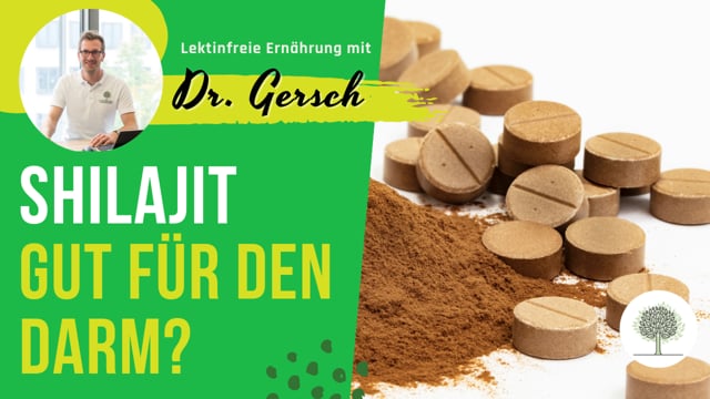 Shilajit - Wer hat damit Erfahrung zur Besserung des Darms? 