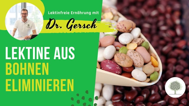 Kan man Lektine aus Bohnen und Linsen durch Einweichen für 24-48 Stunden eliminieren? 