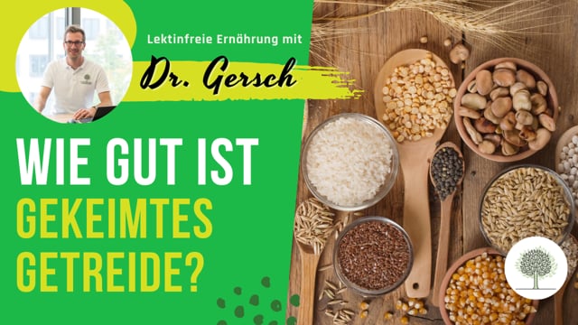 Ist Keimbrot eine Option auf einer lektinfreien Ernährung? Ist gekeimtes Getreide lektinfrei?