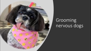 Grooming nervous dogs