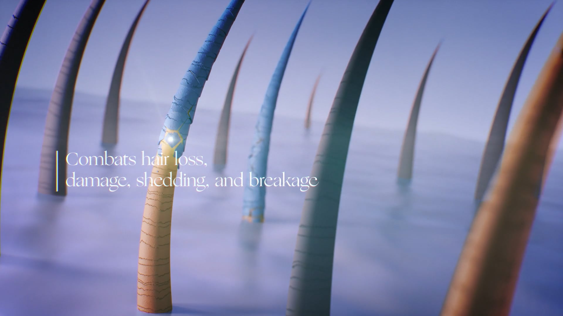 AB - Hair Nutrition - Demo