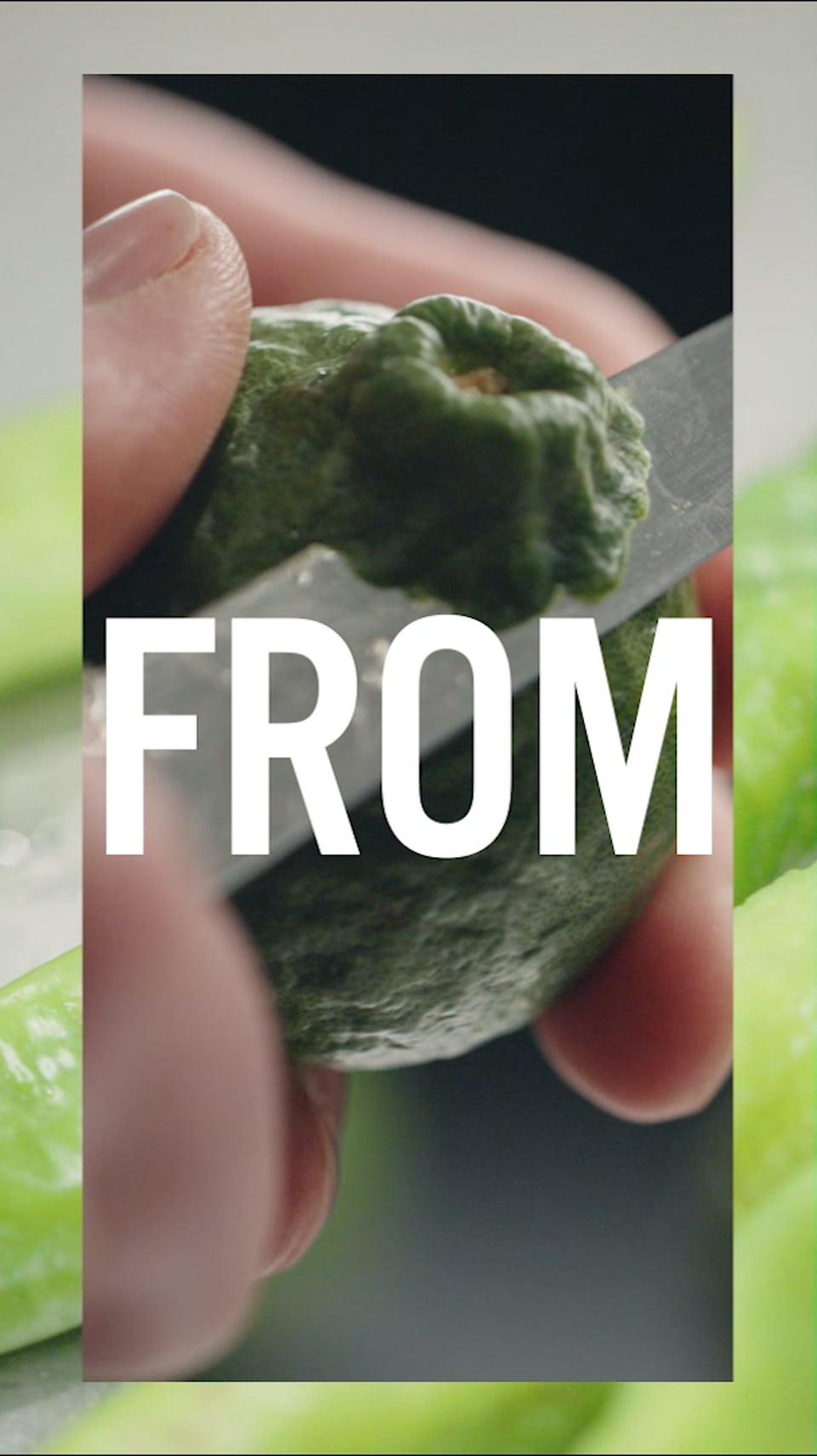 La Pimenterie — Curry Verde, format vertical
