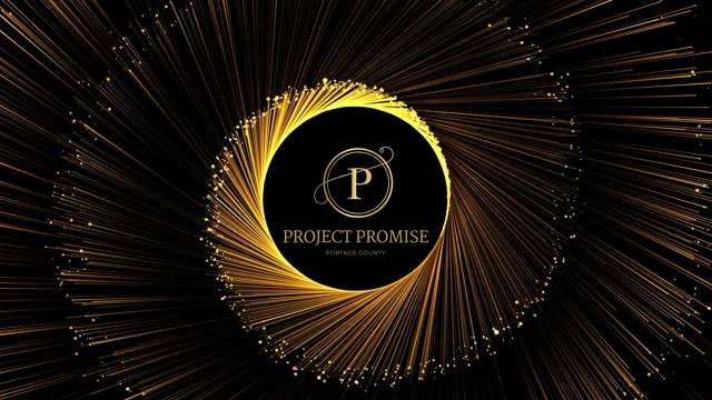 ProjectWinnerDetailsPage