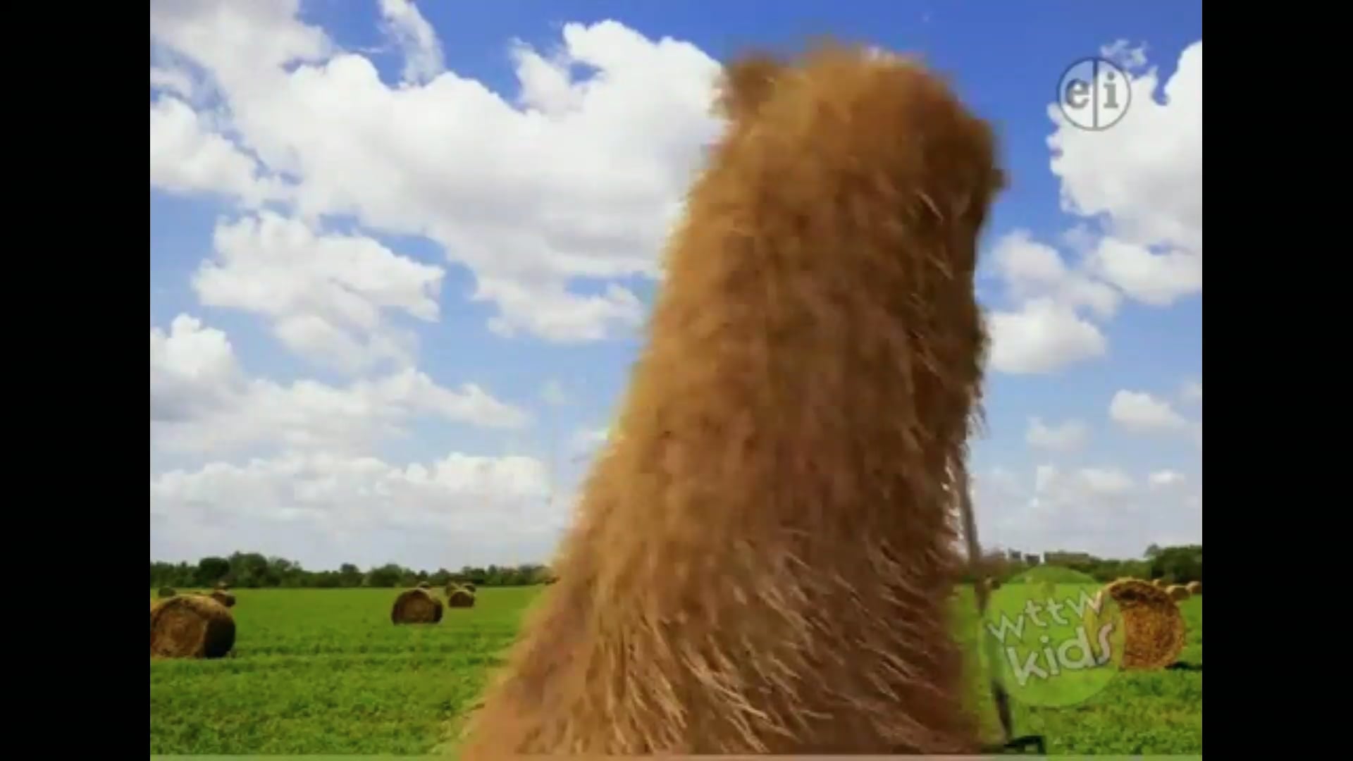 Sesame street hay on Vimeo