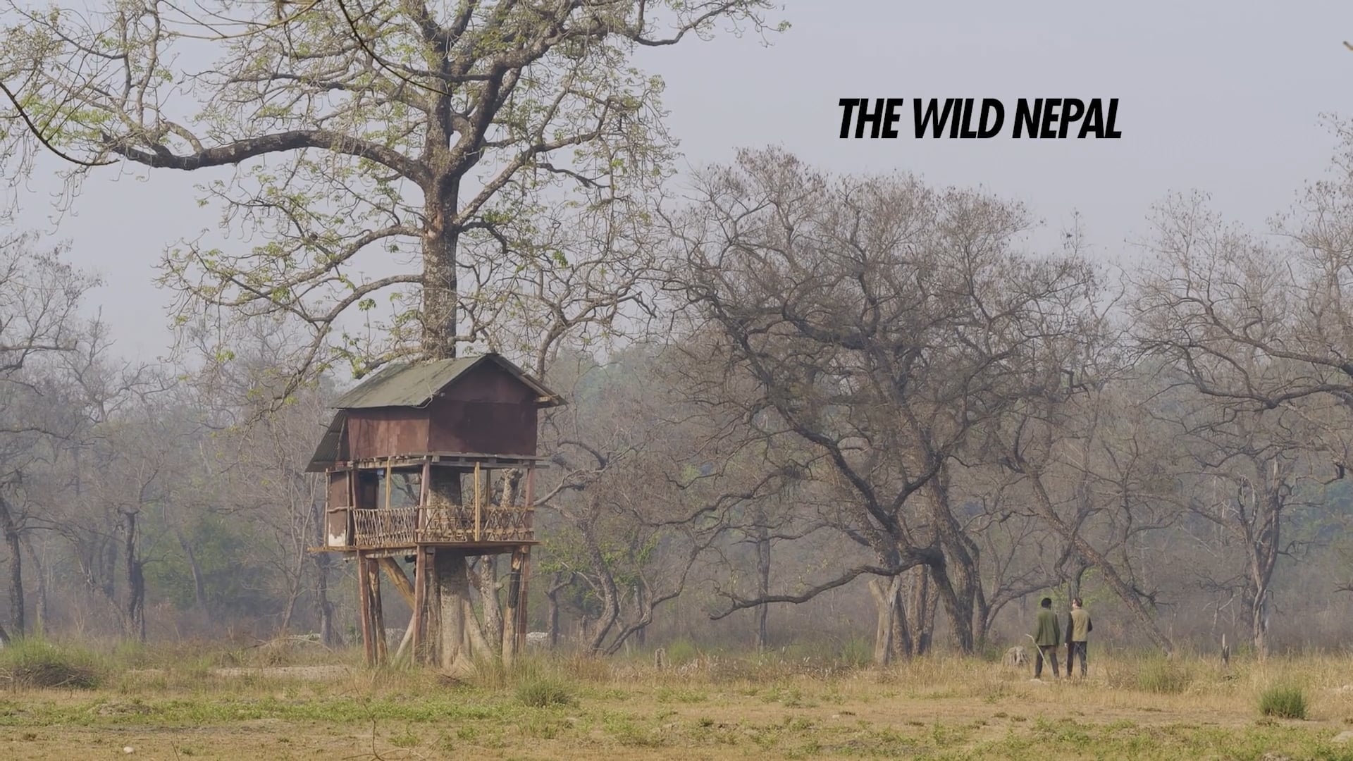 DESCUBRIR E4SE2 Wild Nepal. SCR