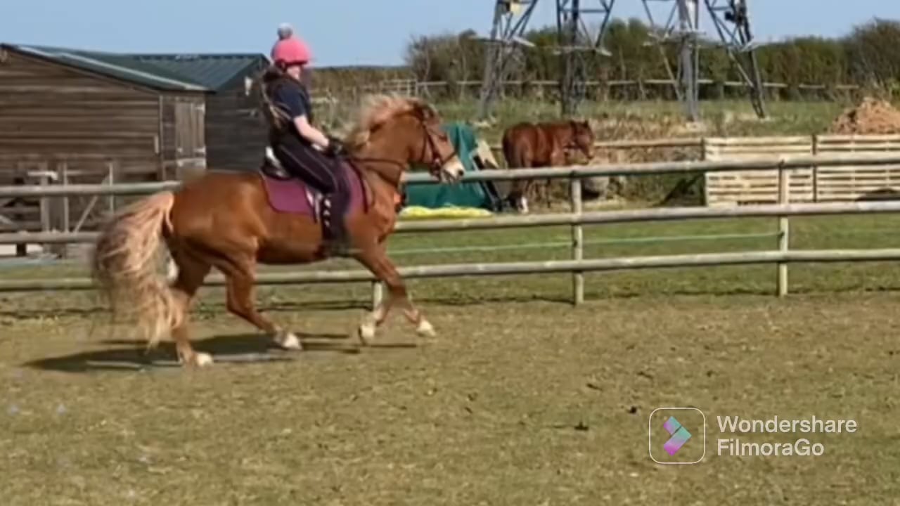 Equestrian English Tack Room on Vimeo