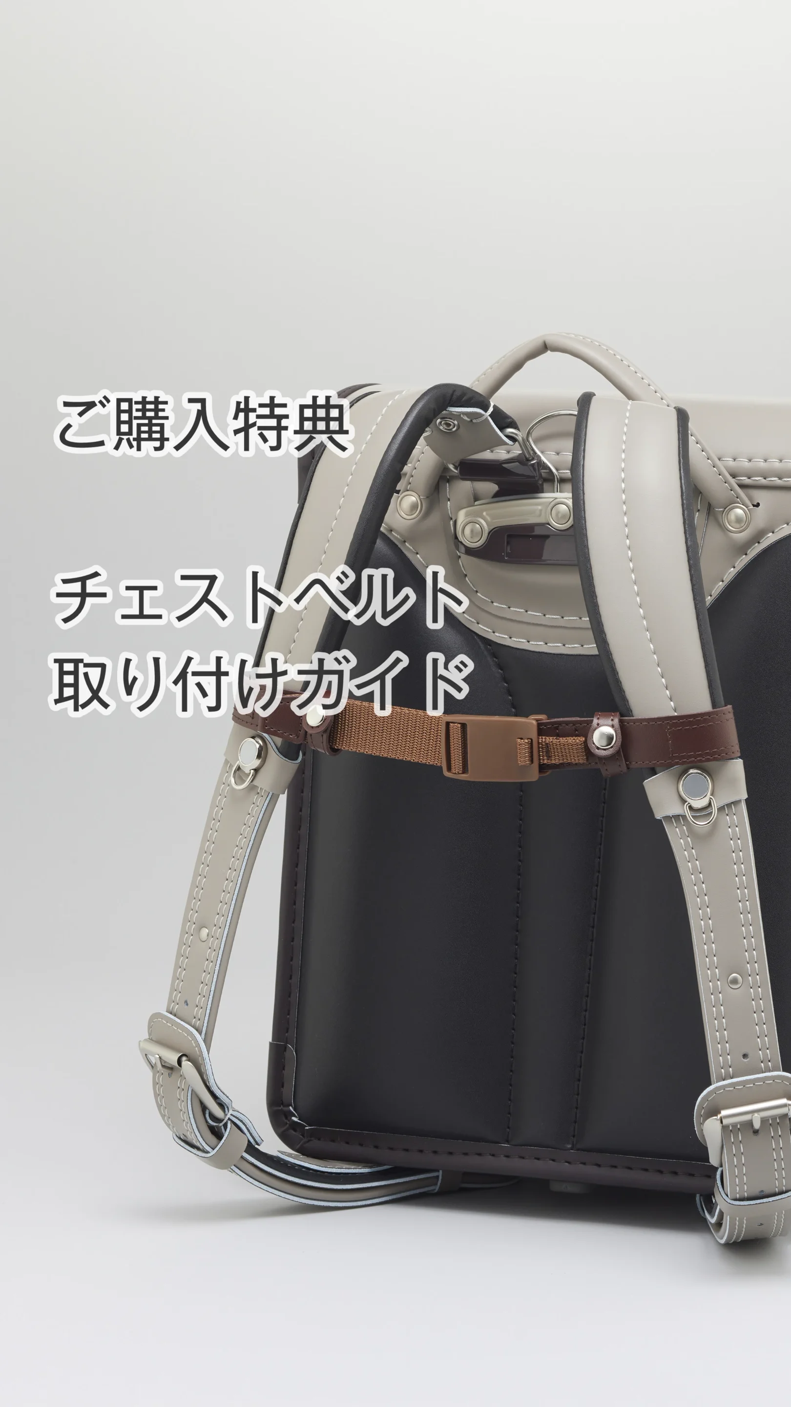 マグネット式】チェストベルト クロ – ARTIFACT 2026年度公式サイト