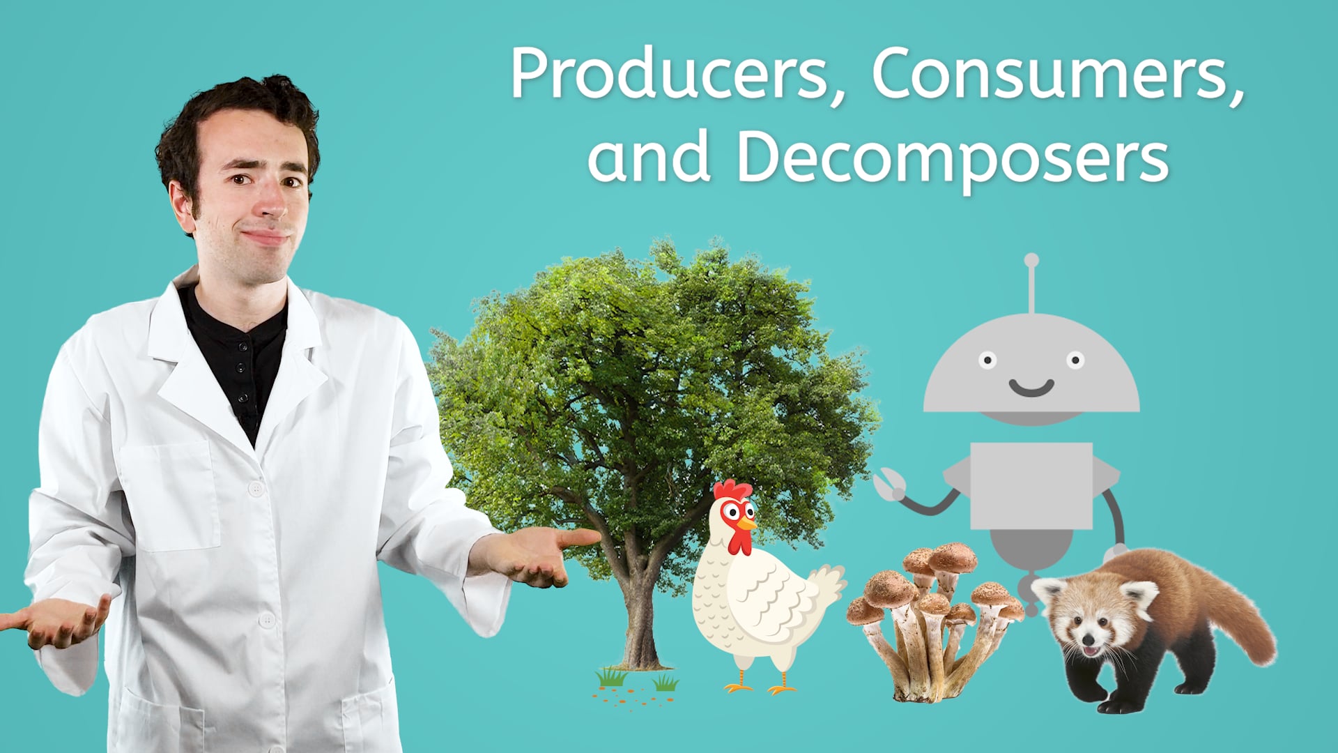 Producers, Consumers, And Decomposers