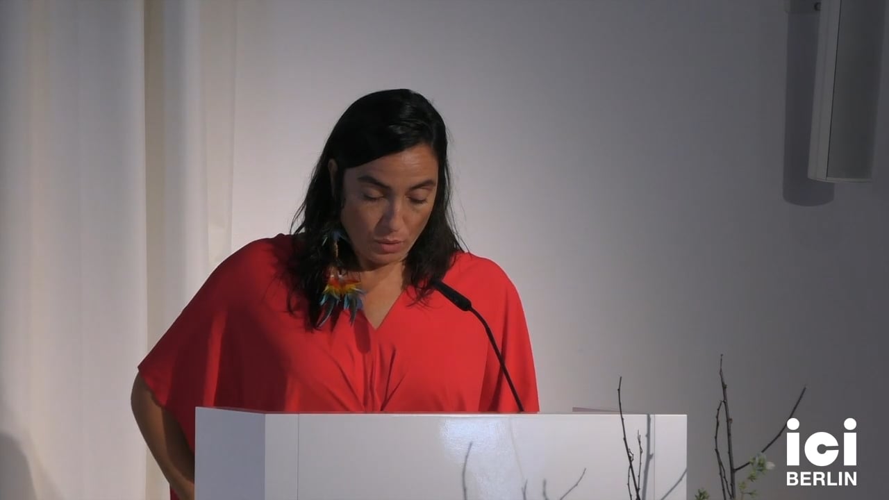 Talk by Izabela Pucu