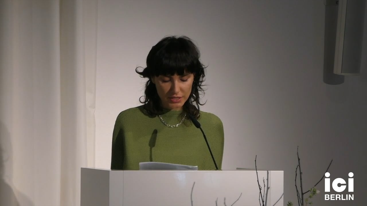 Talk by Elena Vogman