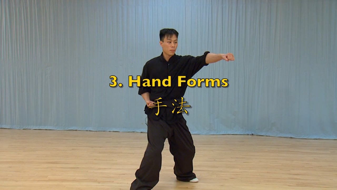 05 Hand Forms San Lu Pao on Vimeo