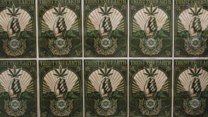 Charlottes Web - We Trust the Earth