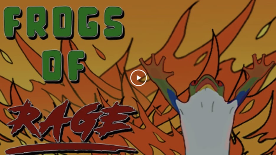 Frogs of Rage - Overview on Vimeo