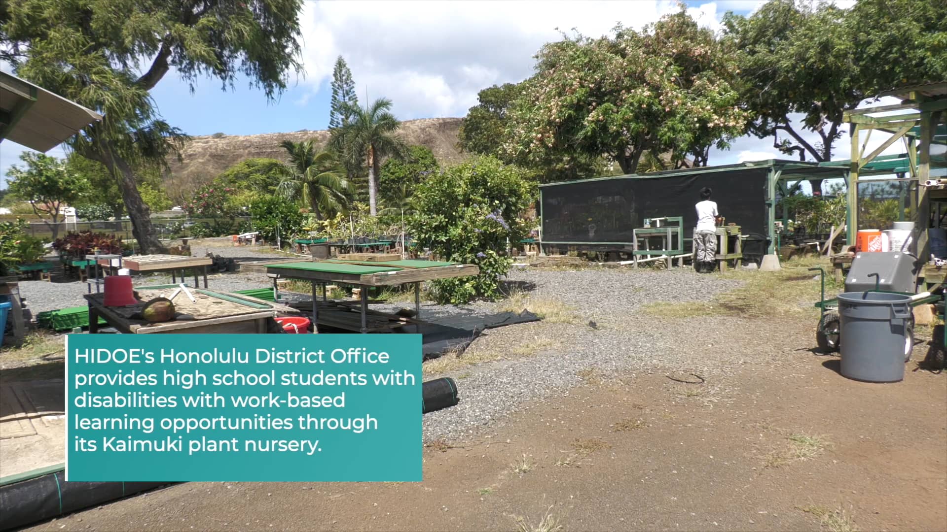 hidoe-honolulu-district-plant-nursery-on-vimeo