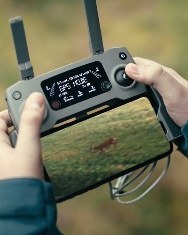 Video poster: Rijksoverheid_Roorda_Drones_Nature