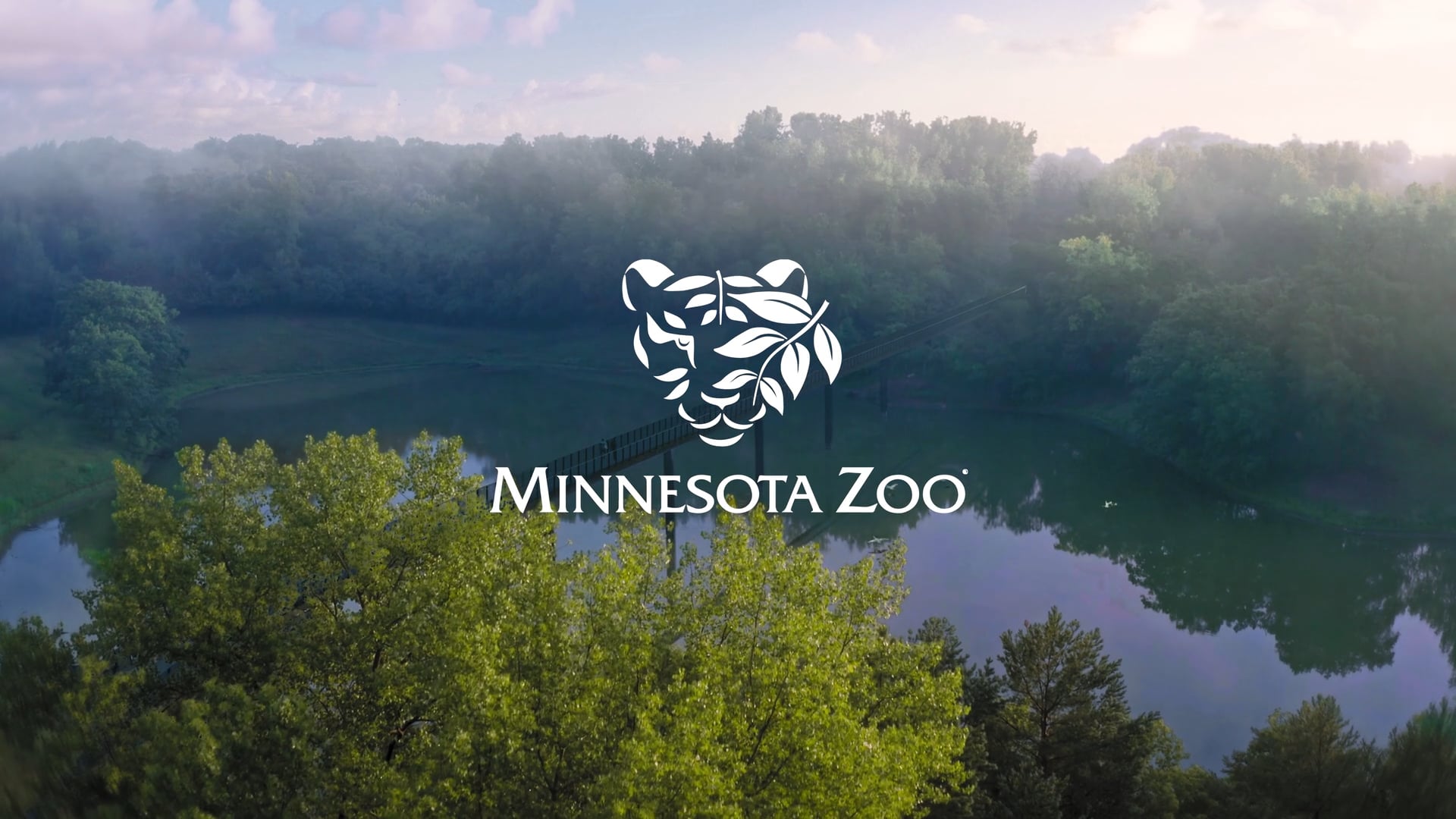 MINNESOTA ZOO - Sound Design + Mix