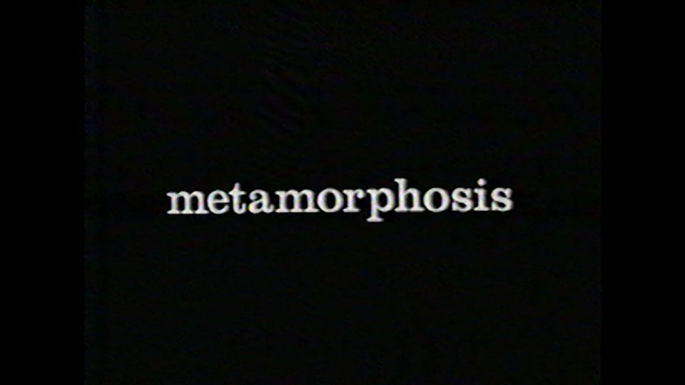 Metamorphosis