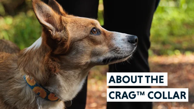 About the Crag Collar