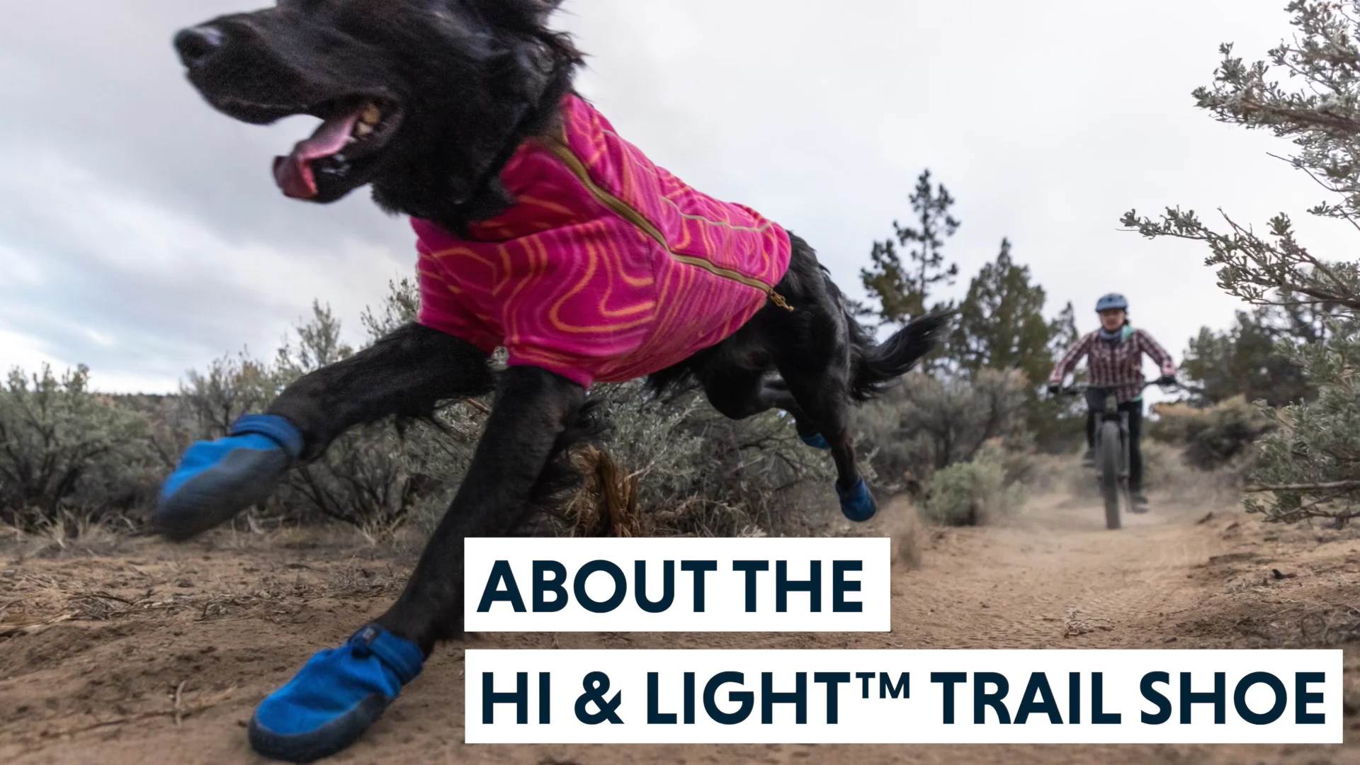 Ruffwear Hi and Light Dog Boots Help Tripawds Improve Traction