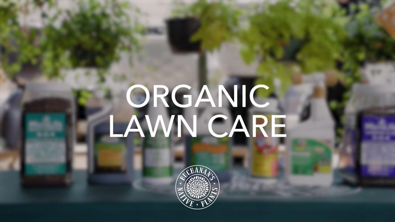Buchanan's_Organic Lawn Care