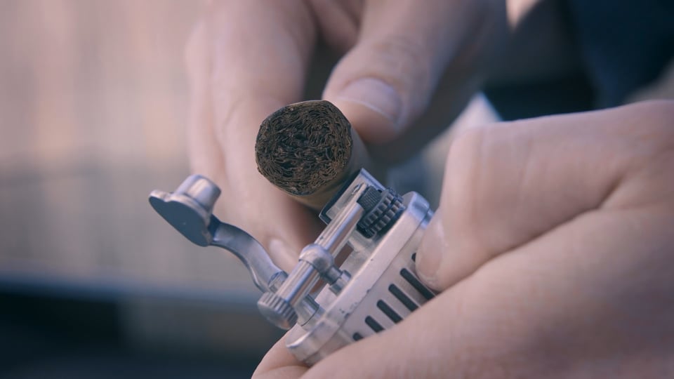 pexels-fps-6973187 (1080p).mp4