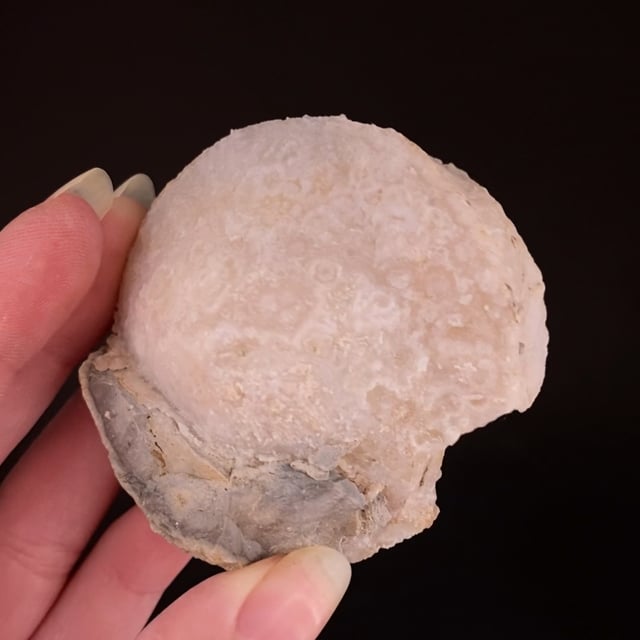 Quartz var Chalcedony (''clamshell'' cast) Green Fire Prospect