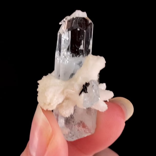 Beryl var: Aquamarine (GEMMY crystal) with Albite